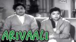 Arivaali